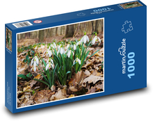 Snežienky - les, jar Puzzle 1000 dielikov - 60 x 46 cm 