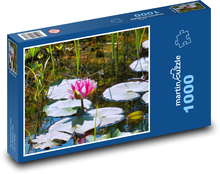 Leknín - rybník, vodní květ Puzzle 1000 dílků - 60 x 46 cm