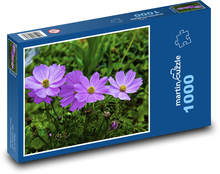 Anemone - garden, flower Puzzle 1000 pieces - 60 x 46 cm 