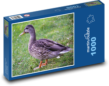 Kačica - vták Puzzle 1000 dielikov - 60 x 46 cm 