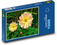 Jiřina - flower, garden Puzzle 1000 pieces - 60 x 46 cm 