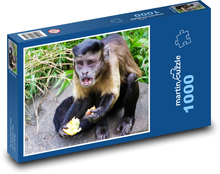 Opica - zviera, roztomilý Puzzle 1000 dielikov - 60 x 46 cm 