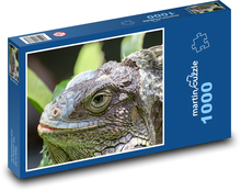 Iguana - jaszczurka, Puzzle 1000 elementów - 60x46 cm