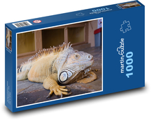 Leguán - plaz, zoo Puzzle 1000 dílků - 60 x 46 cm