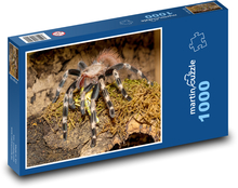 Tarantel - Vogelspinne, Spinne Puzzle 1000 Teile - 60 x 46 cm