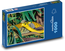 Mamba - had, zvíře Puzzle 1000 dílků - 60 x 46 cm