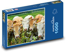 Krowa - bydło, zwierzę Puzzle 1000 elementów - 60x46 cm