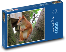 Eichhörnchen - Wald, Natur Puzzle 1000 Teile - 60 x 46 cm