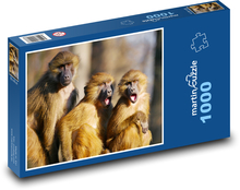Pavián - opice, zvířata Puzzle 1000 dílků - 60 x 46 cm