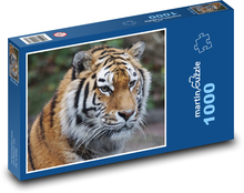 Tiger - dravec, zoo Puzzle 1000 dielikov - 60 x 46 cm 