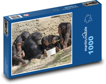 Šimpanz - opice, zvieratá Puzzle 1000 dielikov - 60 x 46 cm 