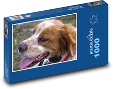 Britischer Springer Spaniel - Hund, Haustier Puzzle 1000 Teile - 60 x 46 cm