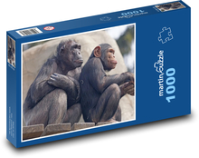 Šimpanzi - opice, zoo Puzzle 1000 dílků - 60 x 46 cm
