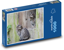 Dzikie koty - młode, zoo Puzzle 1000 elementów - 60x46 cm