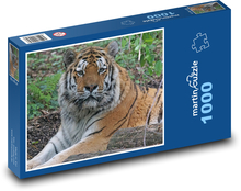 Tiger - große Katze, Raubtier Puzzle 1000 Teile - 60 x 46 cm
