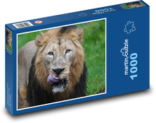 Lev - dravec, veľká mačka Puzzle 1000 dielikov - 60 x 46 cm 