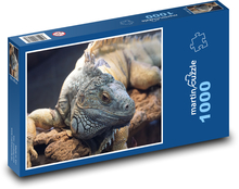 Iguana - lizard, zoo Puzzle 1000 pieces - 60 x 46 cm 