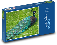 Peacock - bird, garden Puzzle 1000 pieces - 60 x 46 cm 