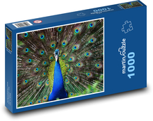 Páv - pták, zvíře Puzzle 1000 dílků - 60 x 46 cm