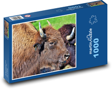 Bison - Bison, Tier Puzzle 1000 Teile - 60 x 46 cm