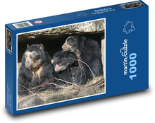 Medvěd brýlatý - rodina, zoo Puzzle 1000 dílků - 60 x 46 cm