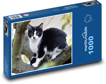 Kotě - kočka, mazlíček Puzzle 1000 dílků - 60 x 46 cm