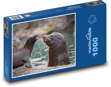 Lachtan - vodní zvíře, mládě Puzzle 1000 dílků - 60 x 46 cm