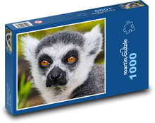 Małpa - lemur, zwierzę Puzzle 1000 elementów - 60x46 cm