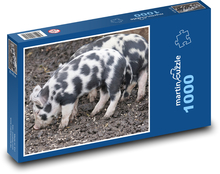 Świnia domowa - świnia, młoda Puzzle 1000 elementów - 60x46 cm