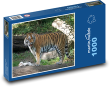 Tiger - dravec, veľká mačka Puzzle 1000 dielikov - 60 x 46 cm