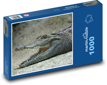 Krokodíl - jašter, zuby Puzzle 1000 dielikov - 60 x 46 cm 