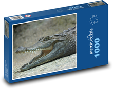 Krokodíl - jašter, zuby Puzzle 1000 dielikov - 60 x 46 cm