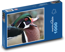 Kačica - vták, zviera Puzzle 1000 dielikov - 60 x 46 cm