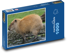 Kapybara - hlodavec, zvíře Puzzle 1000 dílků - 60 x 46 cm