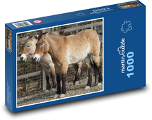 Převalský kůň - divoký kůň, savec Puzzle 1000 dílků - 60 x 46 cm