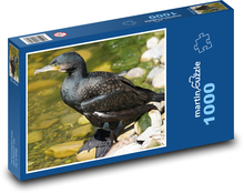 Kormorán - vodný vták, zoo Puzzle 1000 dielikov - 60 x 46 cm 
