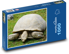 Turtle - reptile, animal Puzzle 1000 pieces - 60 x 46 cm 