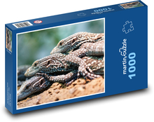 Varan - jašterica, plaz Puzzle 1000 dielikov - 60 x 46 cm 