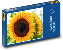 Slunečnice - květina, léto Puzzle 1000 dílků - 60 x 46 cm