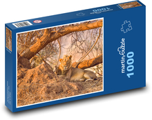 Lev - Afrika, Safari Puzzle 1000 dílků - 60 x 46 cm