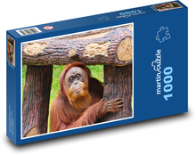 Orangurtan - monkey, animal Puzzle 1000 pieces - 60 x 46 cm