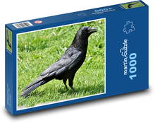 Rabenvogel, Tier Puzzle 1000 Teile - 60 x 46 cm