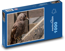 Rabe - Vogel, Tier Puzzle 1000 Teile - 60 x 46 cm