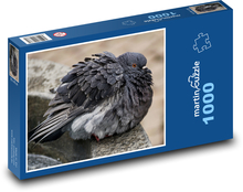 Holubica - vták, zviera Puzzle 1000 dielikov - 60 x 46 cm 