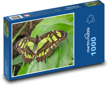 Motýl - hmyz, příroda Puzzle 1000 dílků - 60 x 46 cm