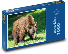 Braunbär - Tier, Raubtier Puzzle 1000 Teile - 60 x 46 cm