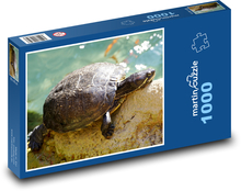 Želva - plaz, zvíře Puzzle 1000 dílků - 60 x 46 cm