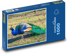 Páv - vták, zviera Puzzle 1000 dielikov - 60 x 46 cm 