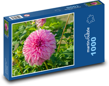 Jiřina - růžový květ, květina Puzzle 1000 dílků - 60 x 46 cm