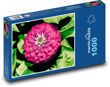 Purple dahlias - flower, garden Puzzle 1000 pieces - 60 x 46 cm 
